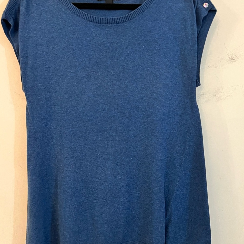 Banana Republic Blue Cap Sleeve Sweater Blouse